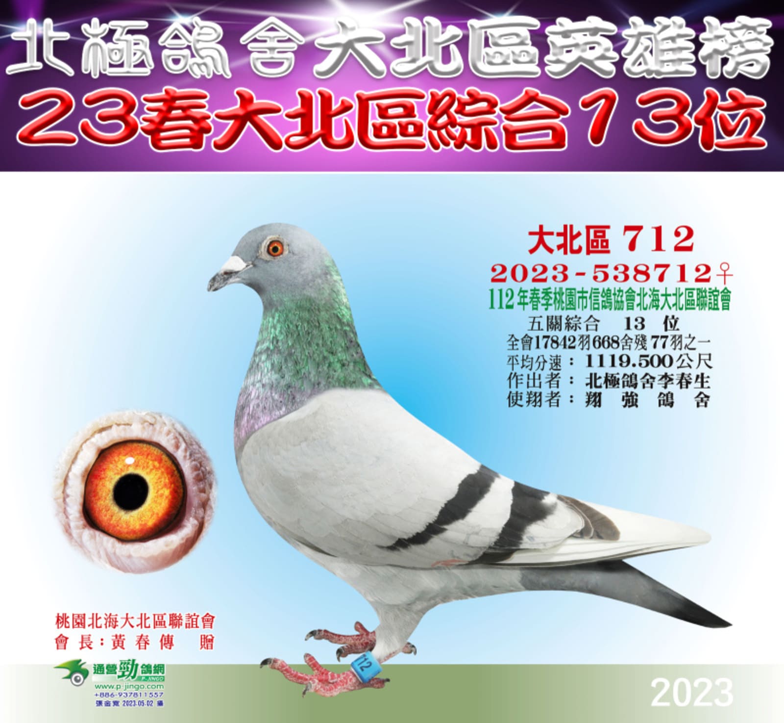母：2023-538712灰白羽♀ 23年春北海桃園大北區五關綜合13位 全會668舍17,842羽 歸返77羽 北海聯合船隊近10萬羽五關完翔187羽