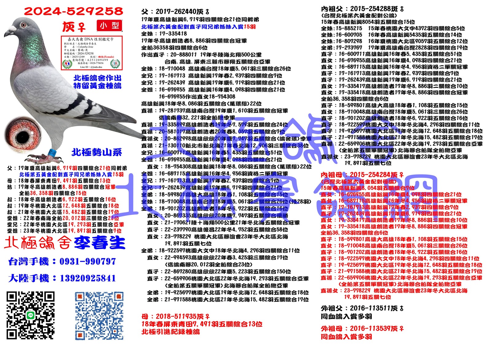 血統書水印示意圖