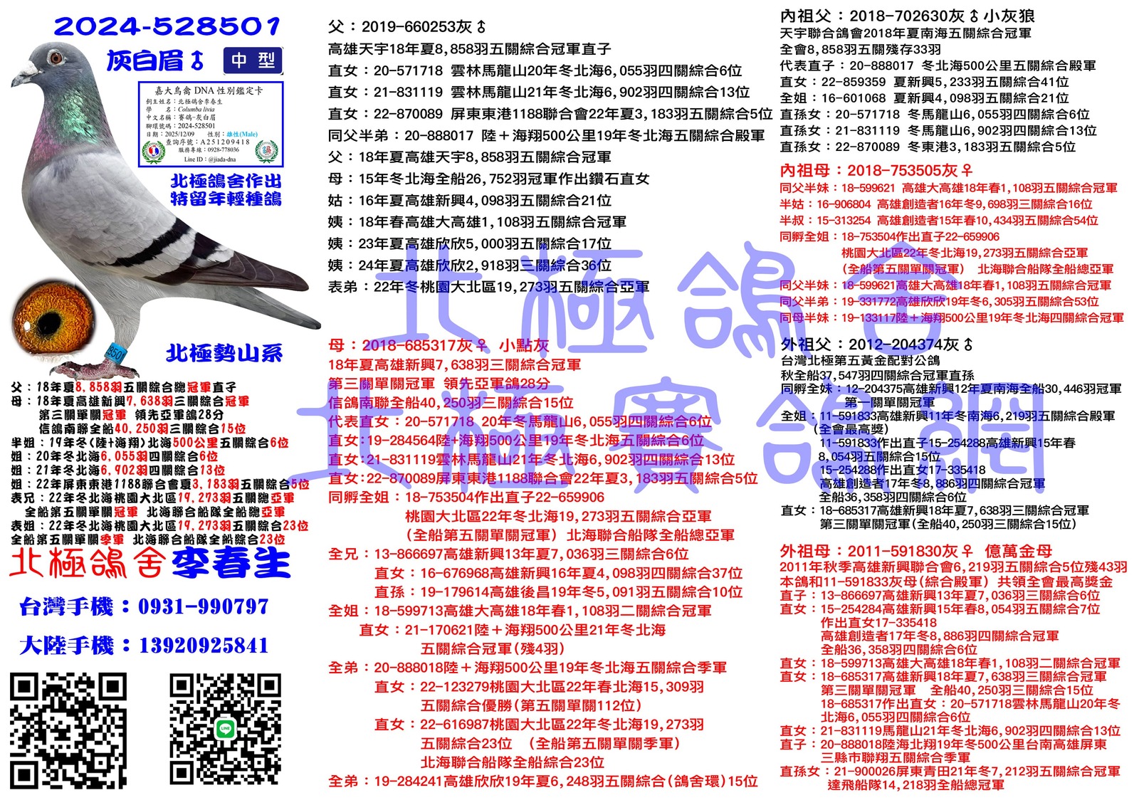 血統書水印示意圖