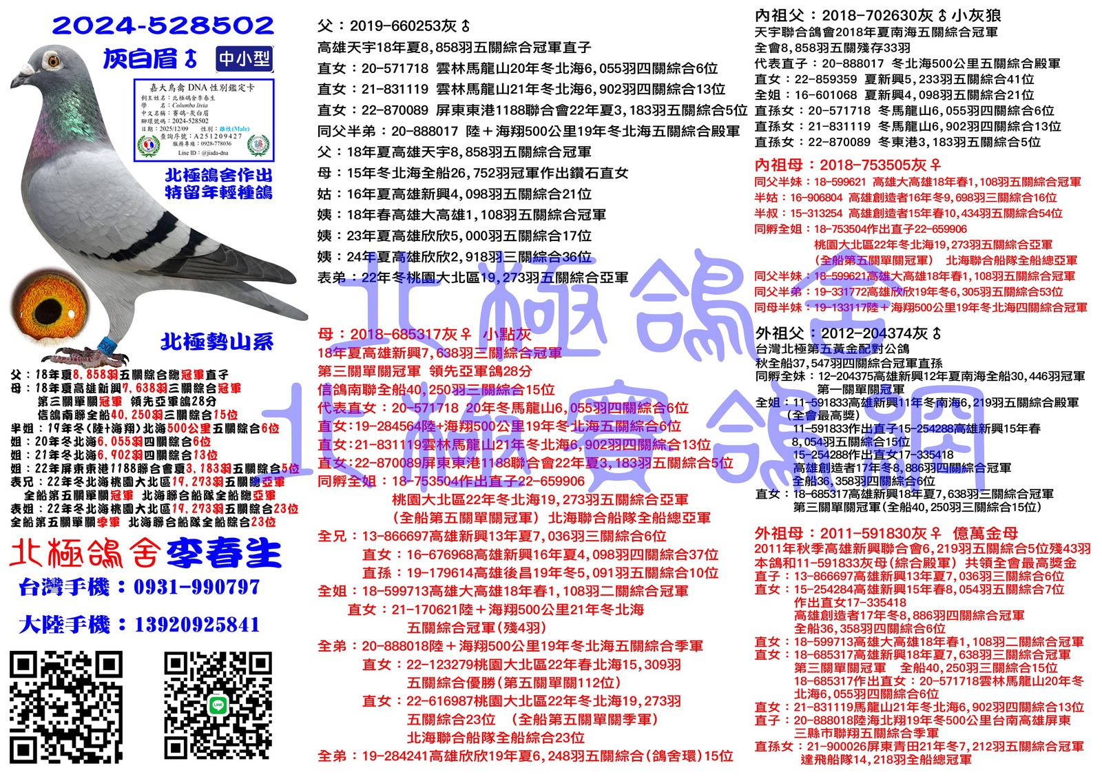 血統書水印示意圖