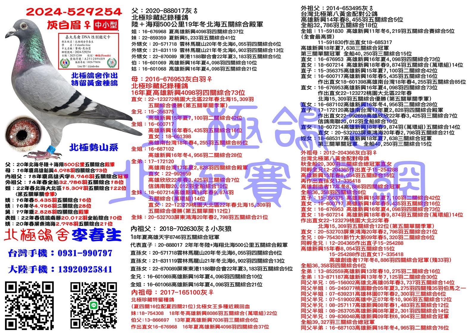 血統書水印示意圖