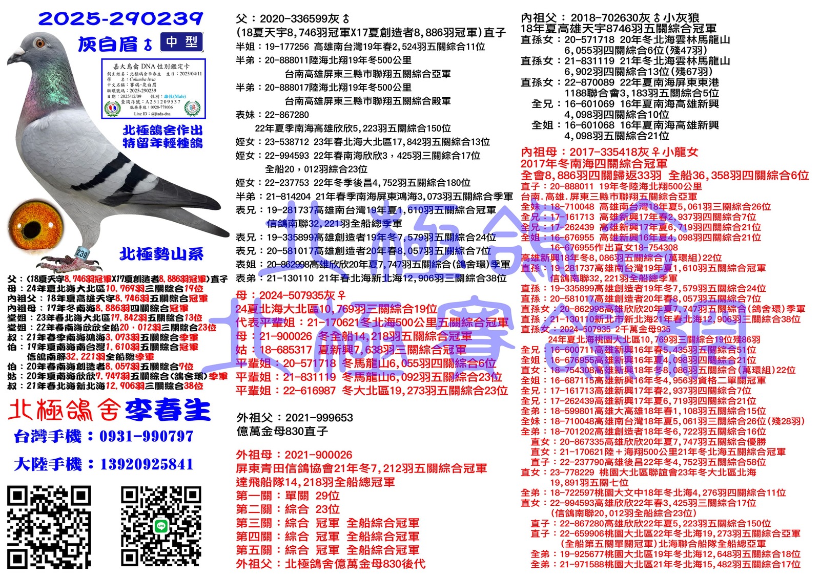 血統書水印示意圖