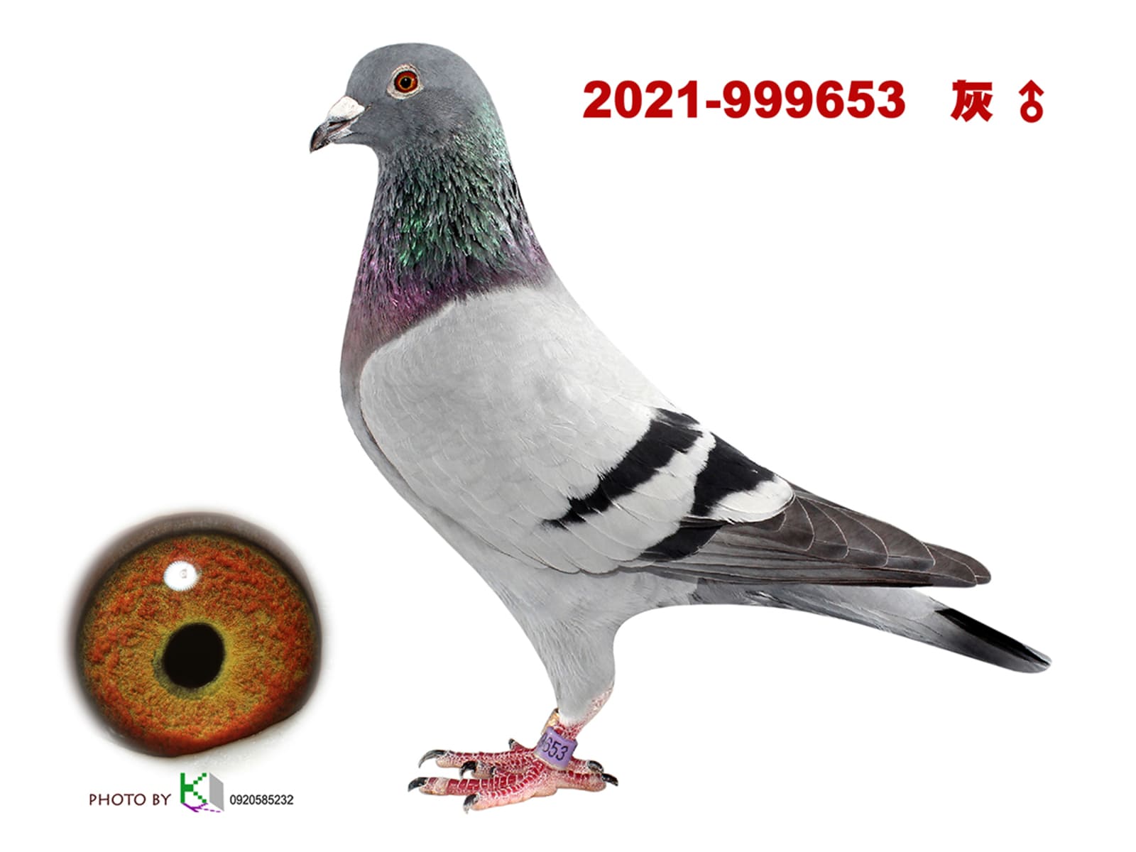 外祖父：2021-999653 億萬金母830直子