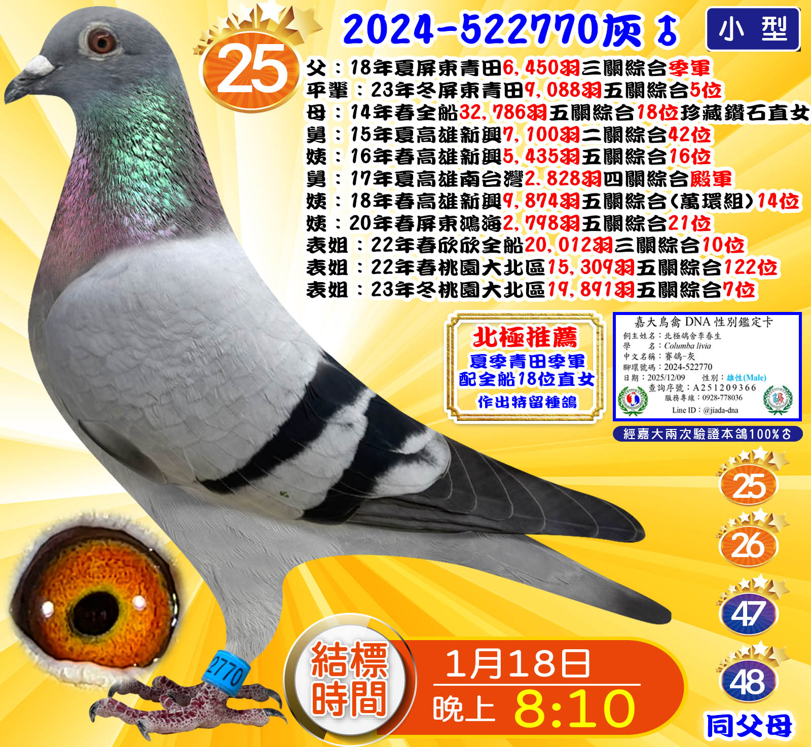 2024-522770灰♂