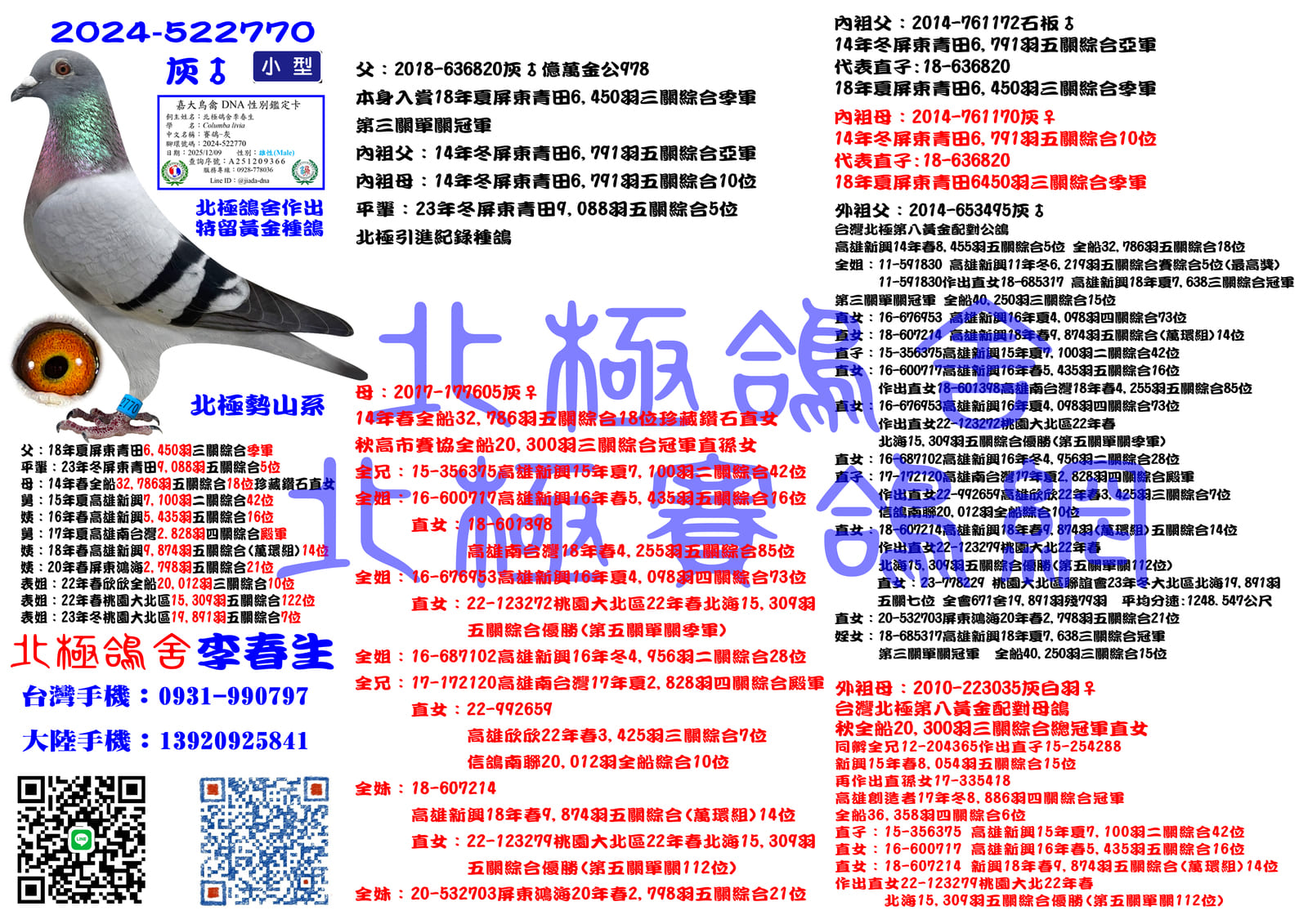 血統書水印示意圖