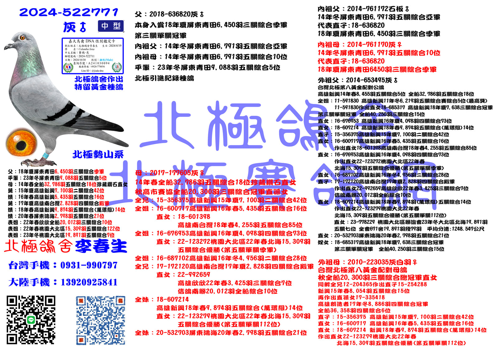 血統書水印示意圖