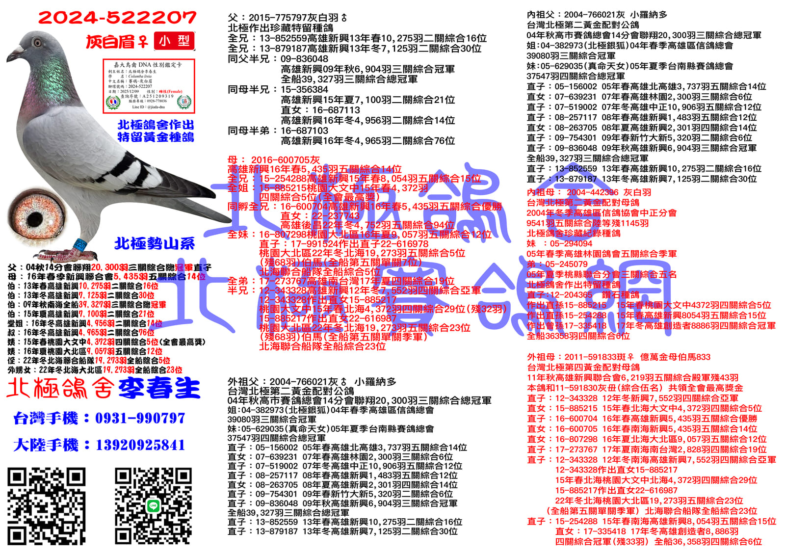 血統書水印示意圖