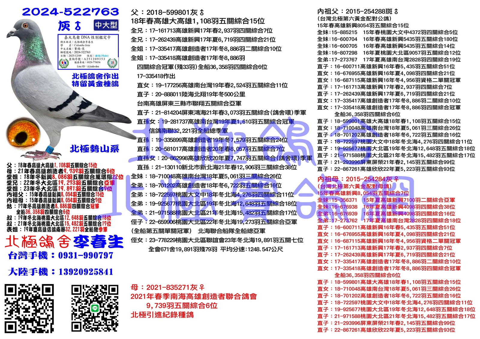 血統書水印示意圖