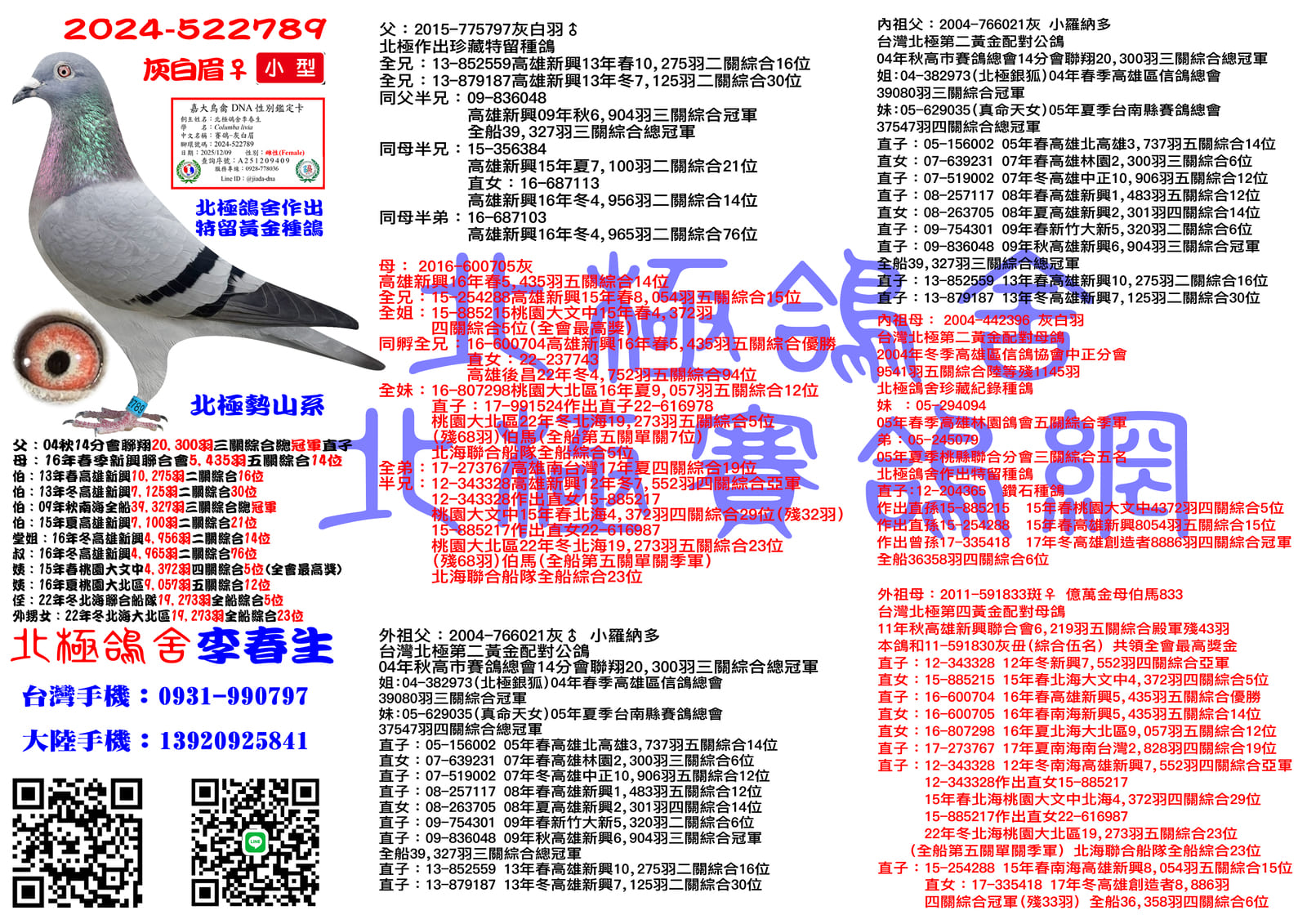 血統書水印示意圖