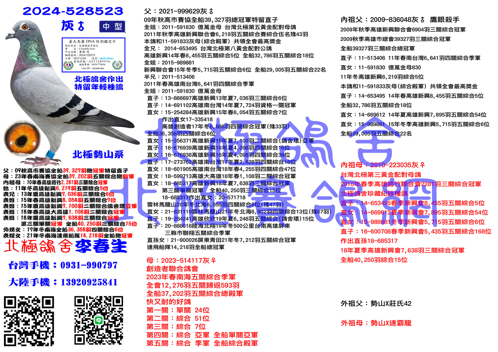 血統書水印示意圖
