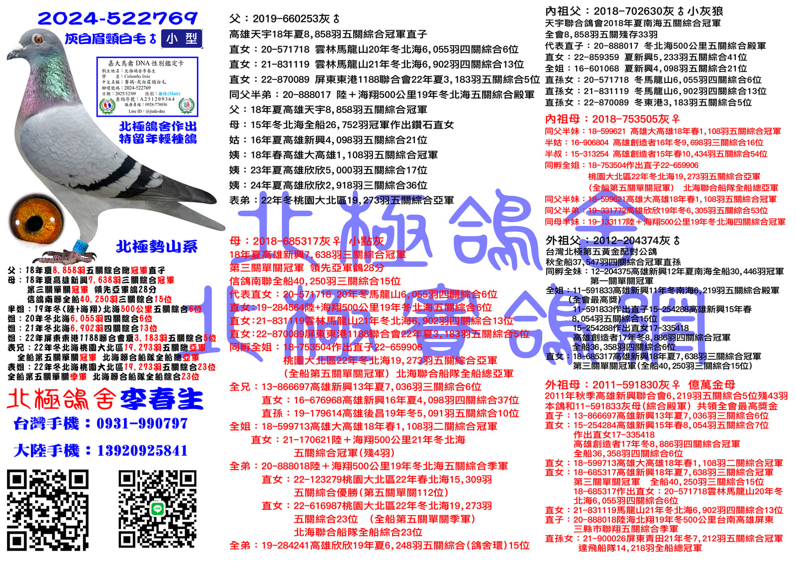 血統書水印示意圖