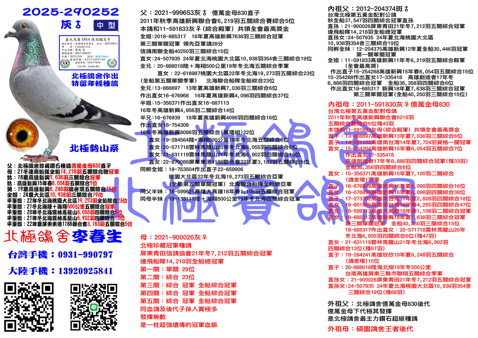 血統書水印示意圖