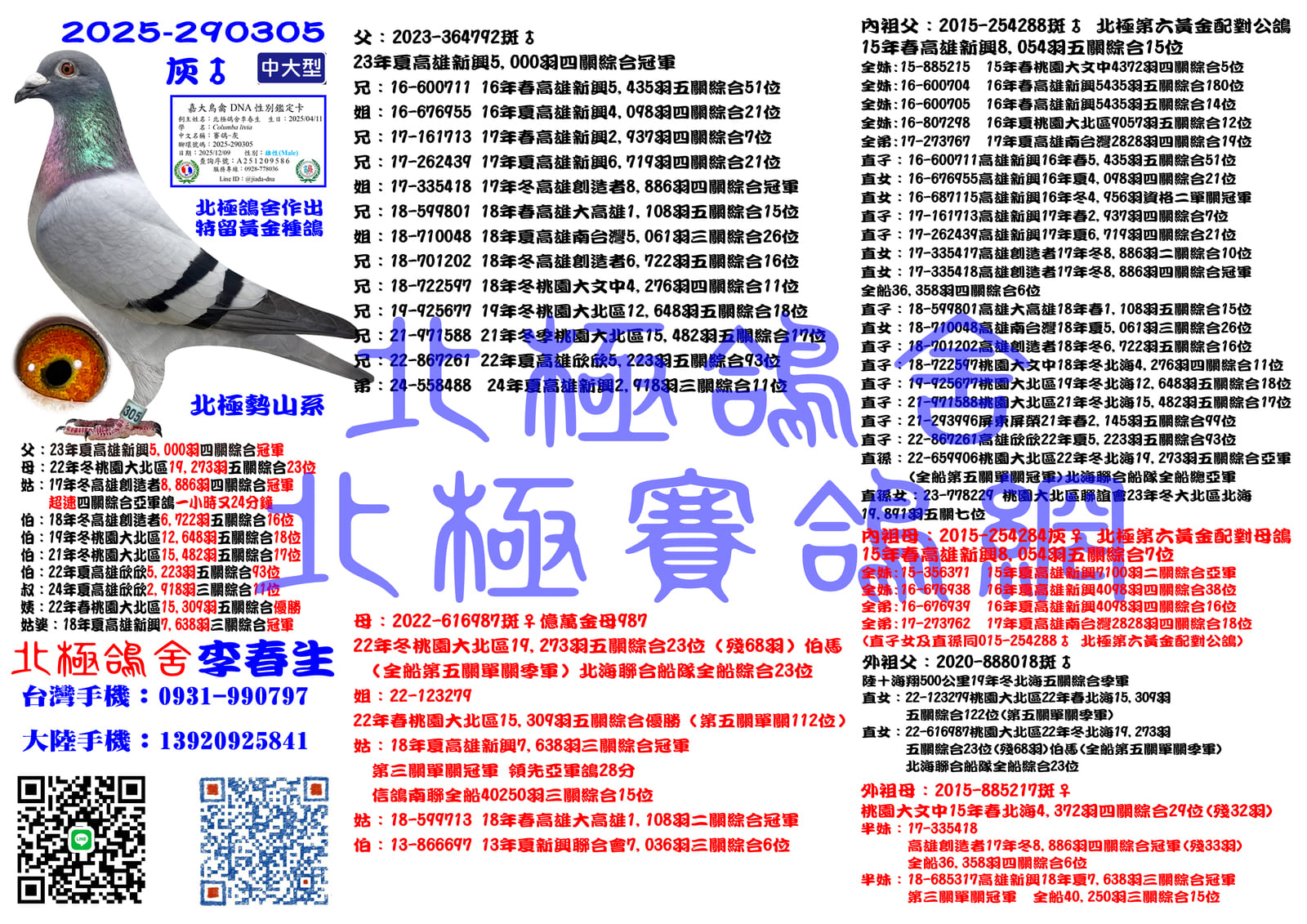 血統書水印示意圖