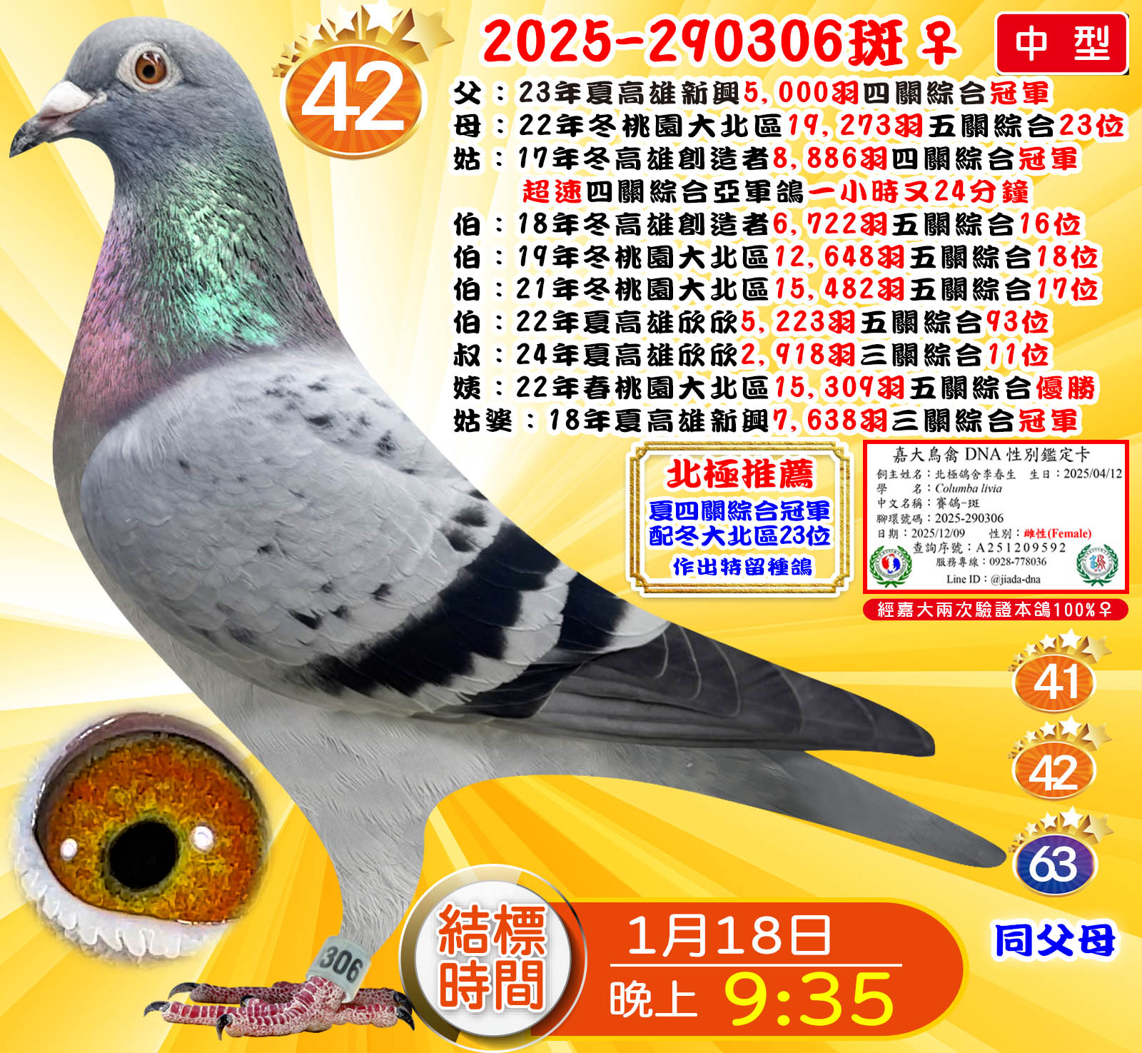 2025-290306斑♀