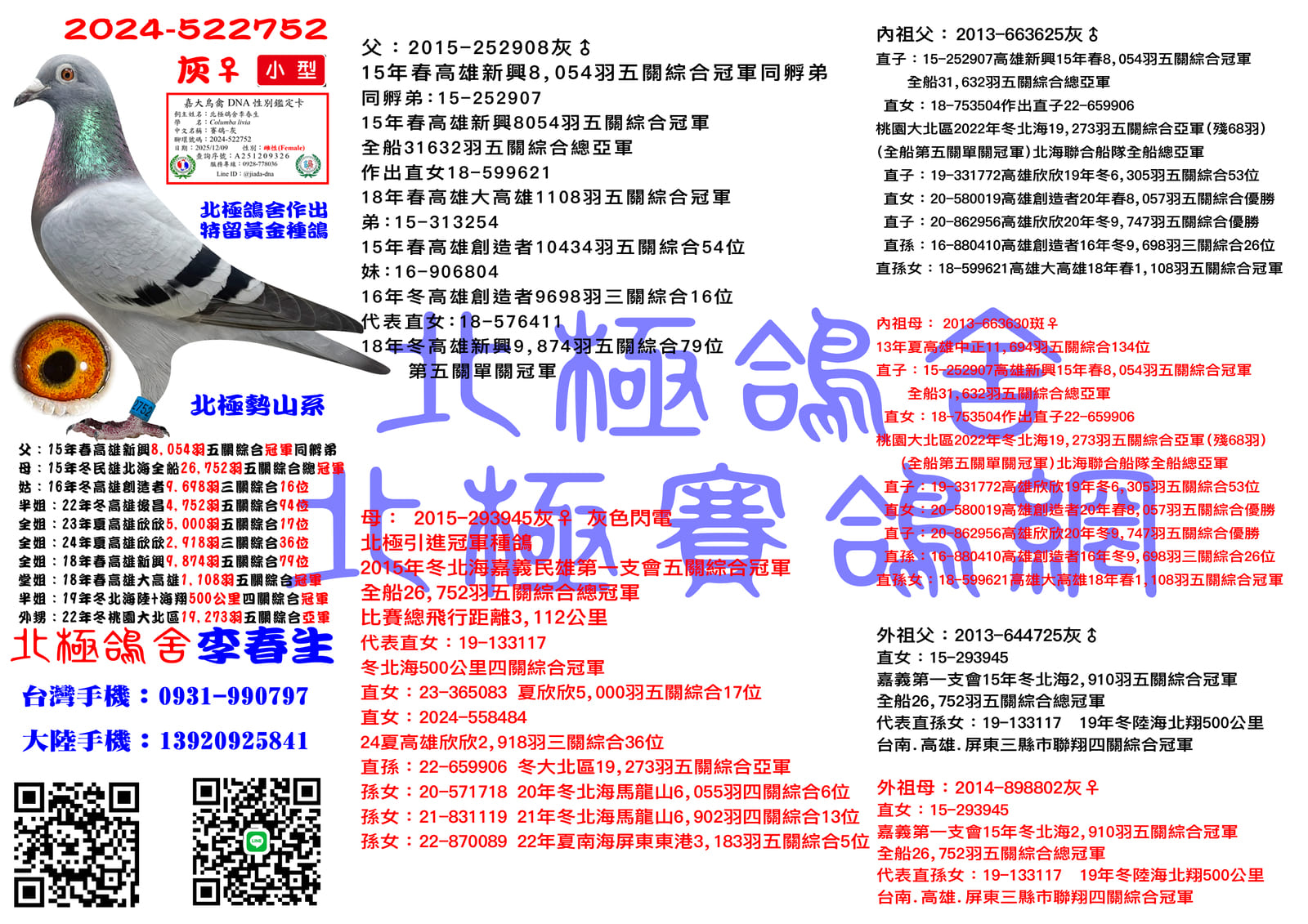 血統書水印示意圖