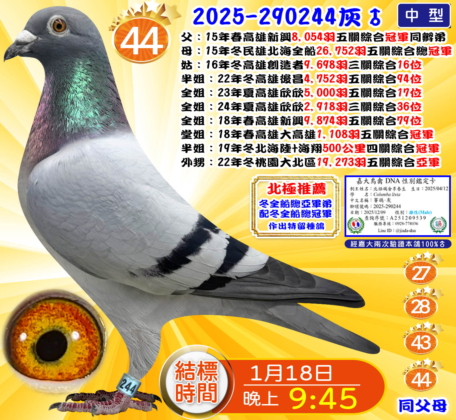 2025-290244灰♂