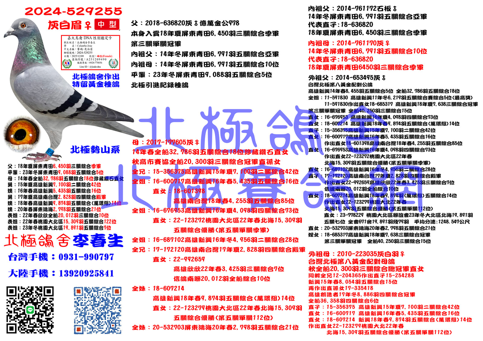 血統書水印示意圖