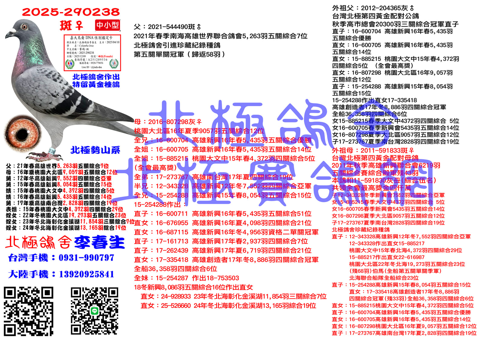 血統書水印示意圖