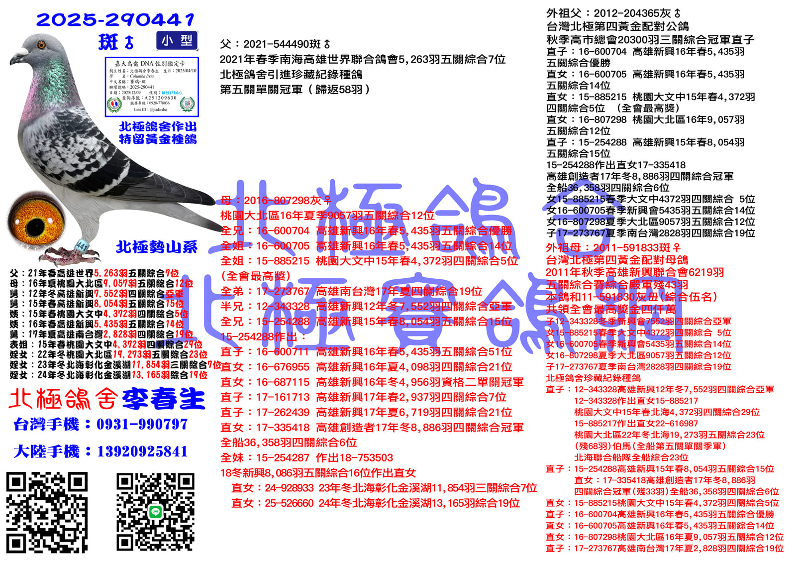 血統書水印示意圖
