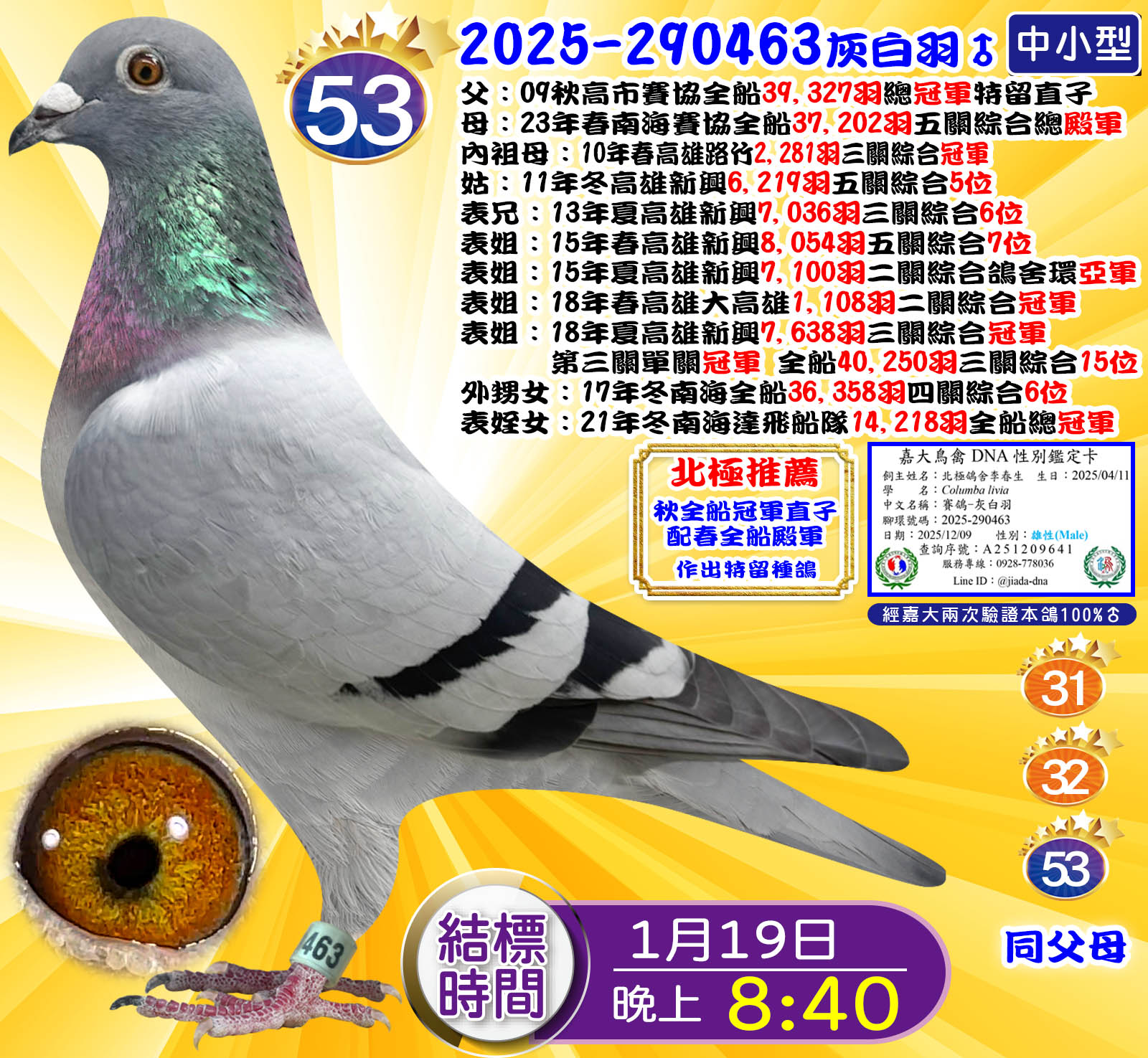 2025-290463灰白羽♂