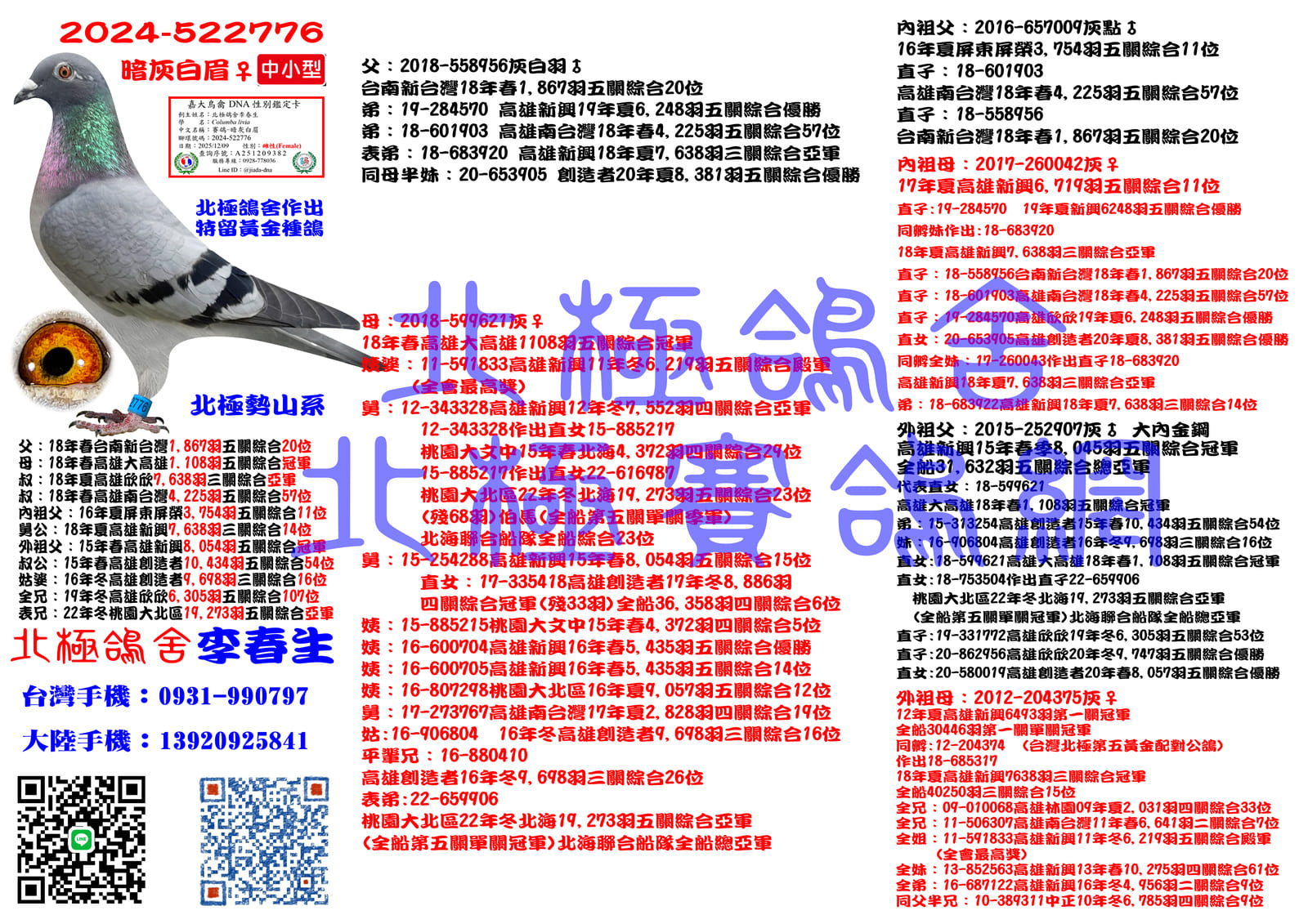 血統書水印示意圖