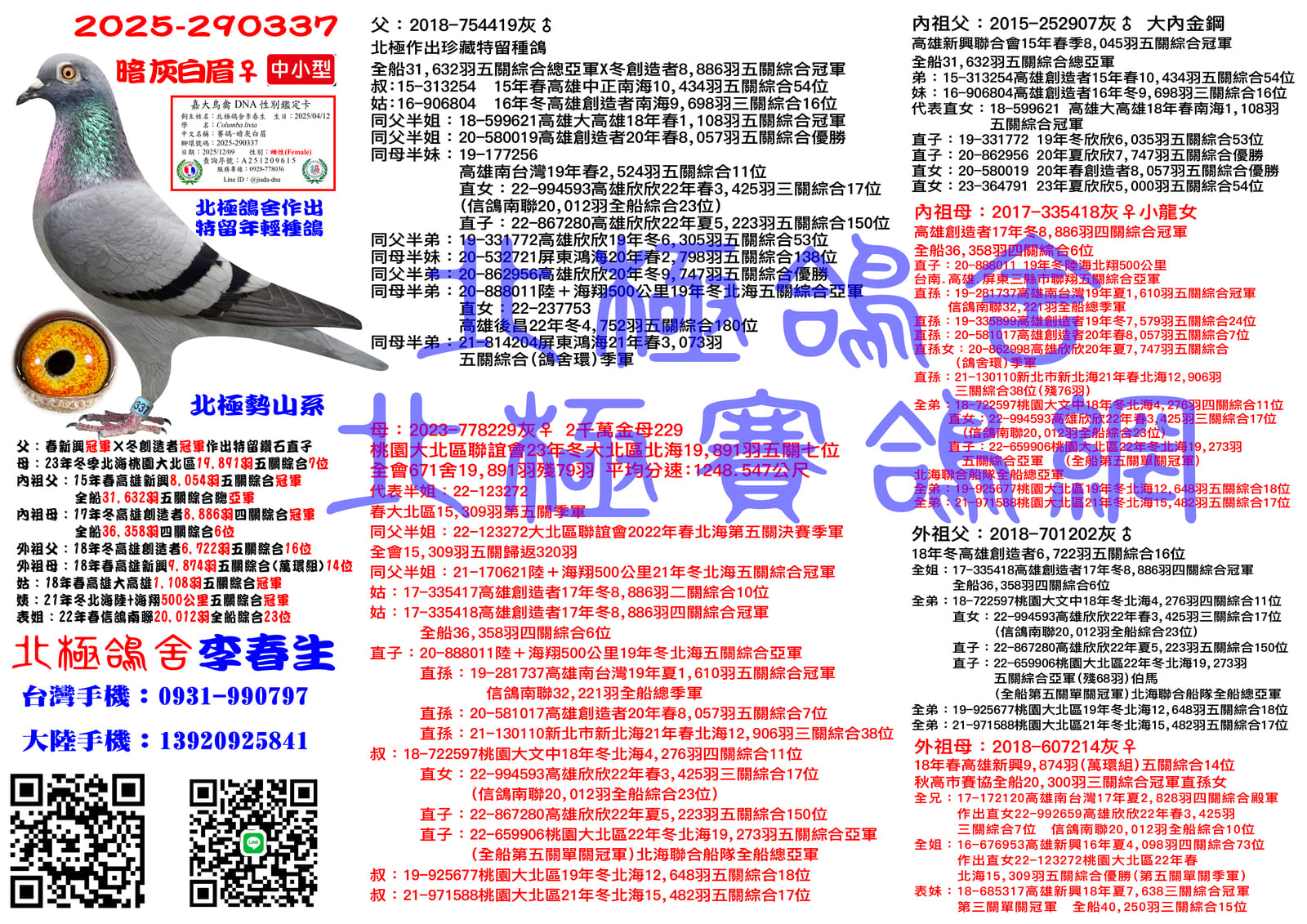 血統書水印示意圖