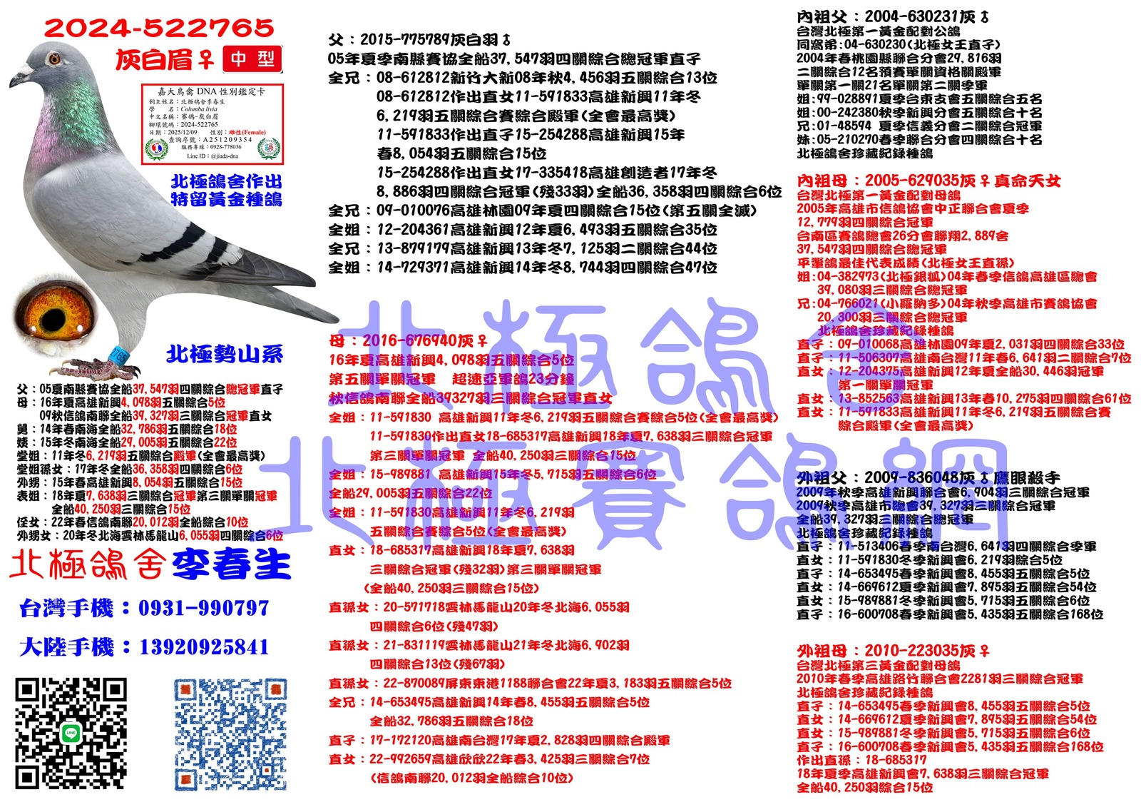 血統書水印示意圖