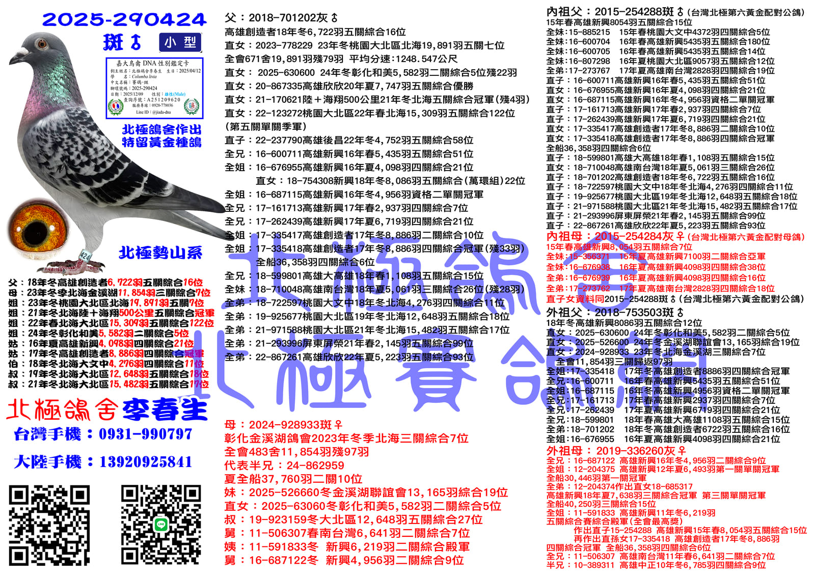 血統書水印示意圖