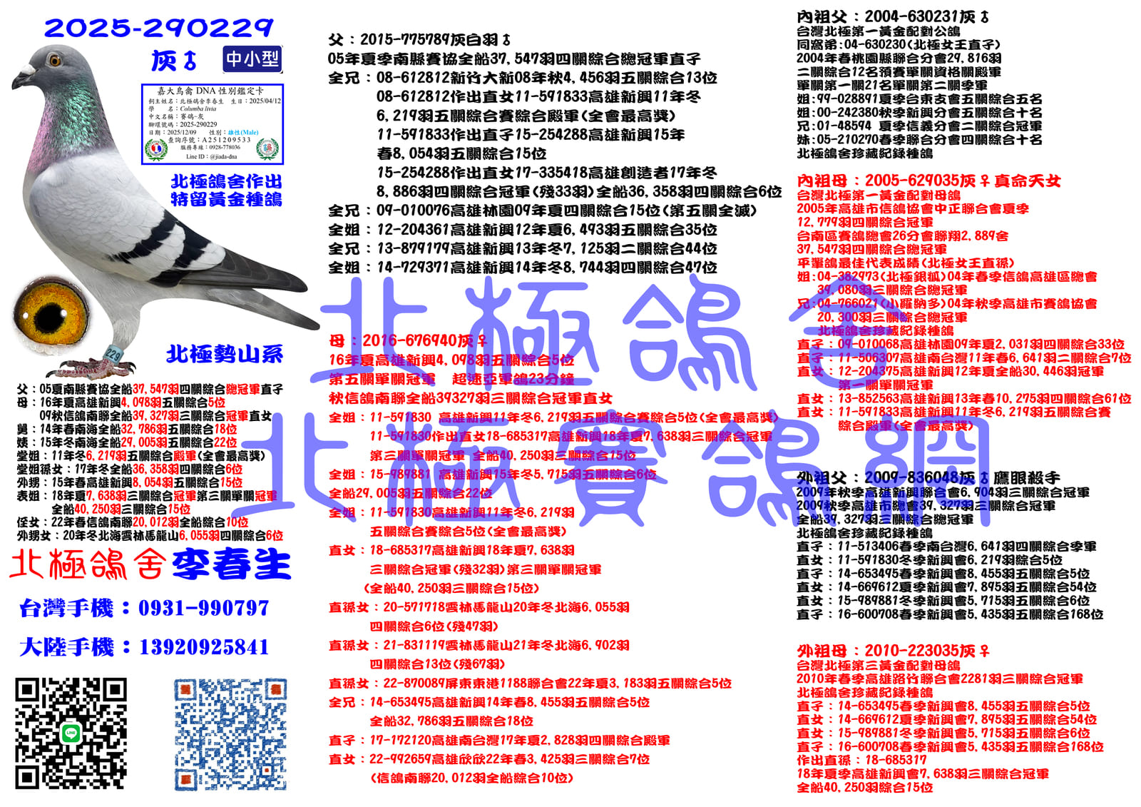 血統書水印示意圖