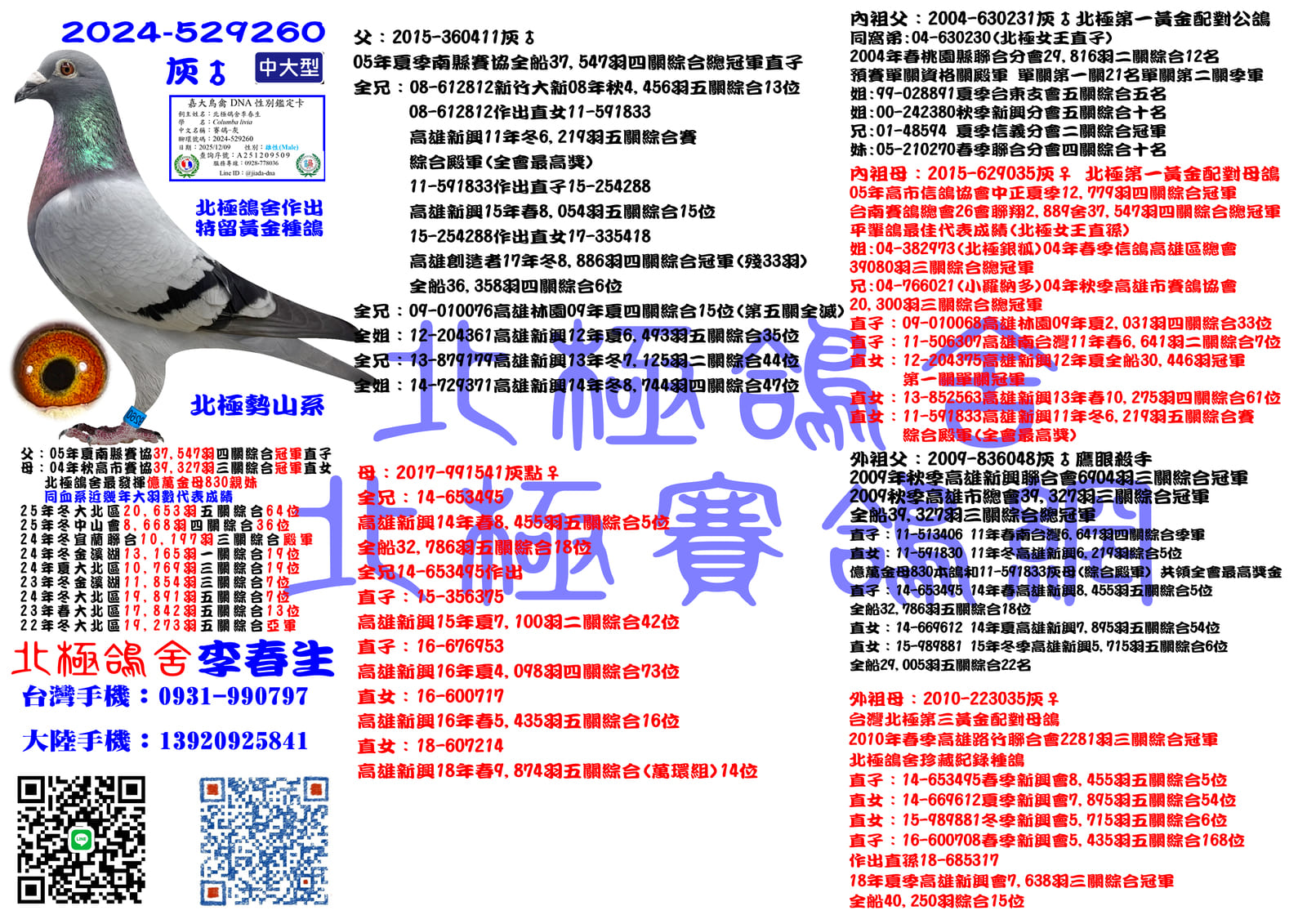 血統書水印示意圖