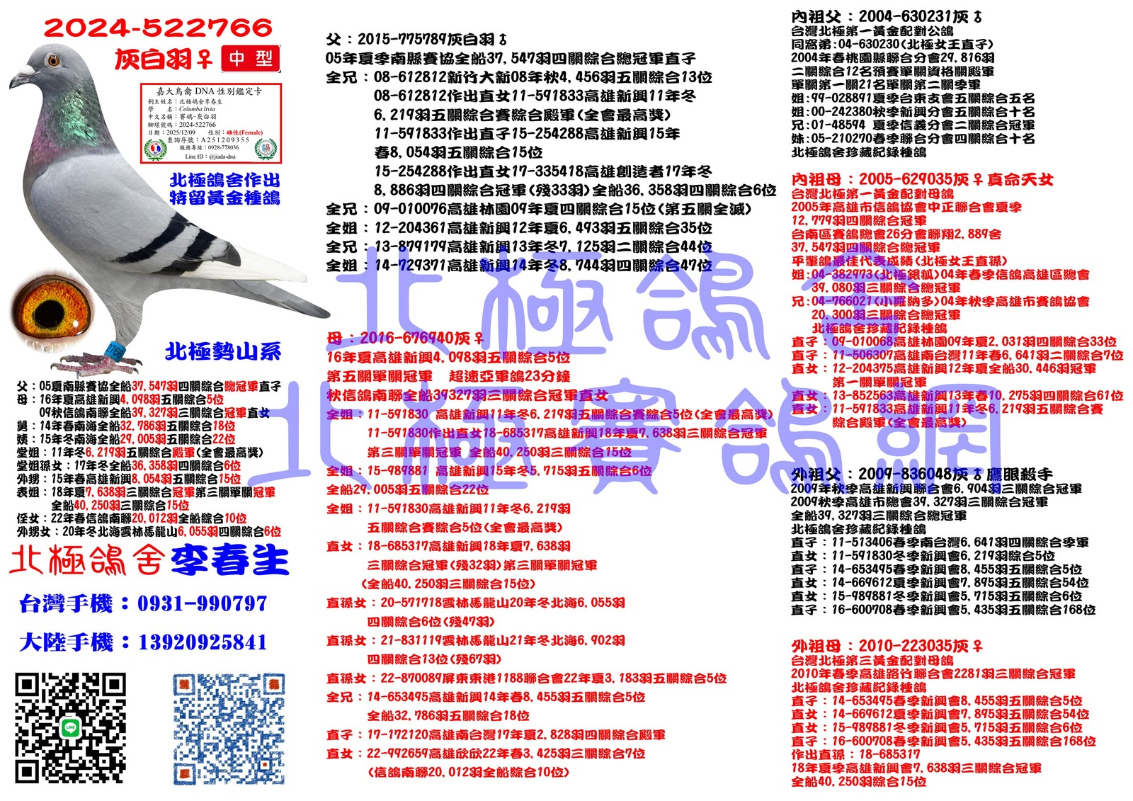 血統書水印示意圖