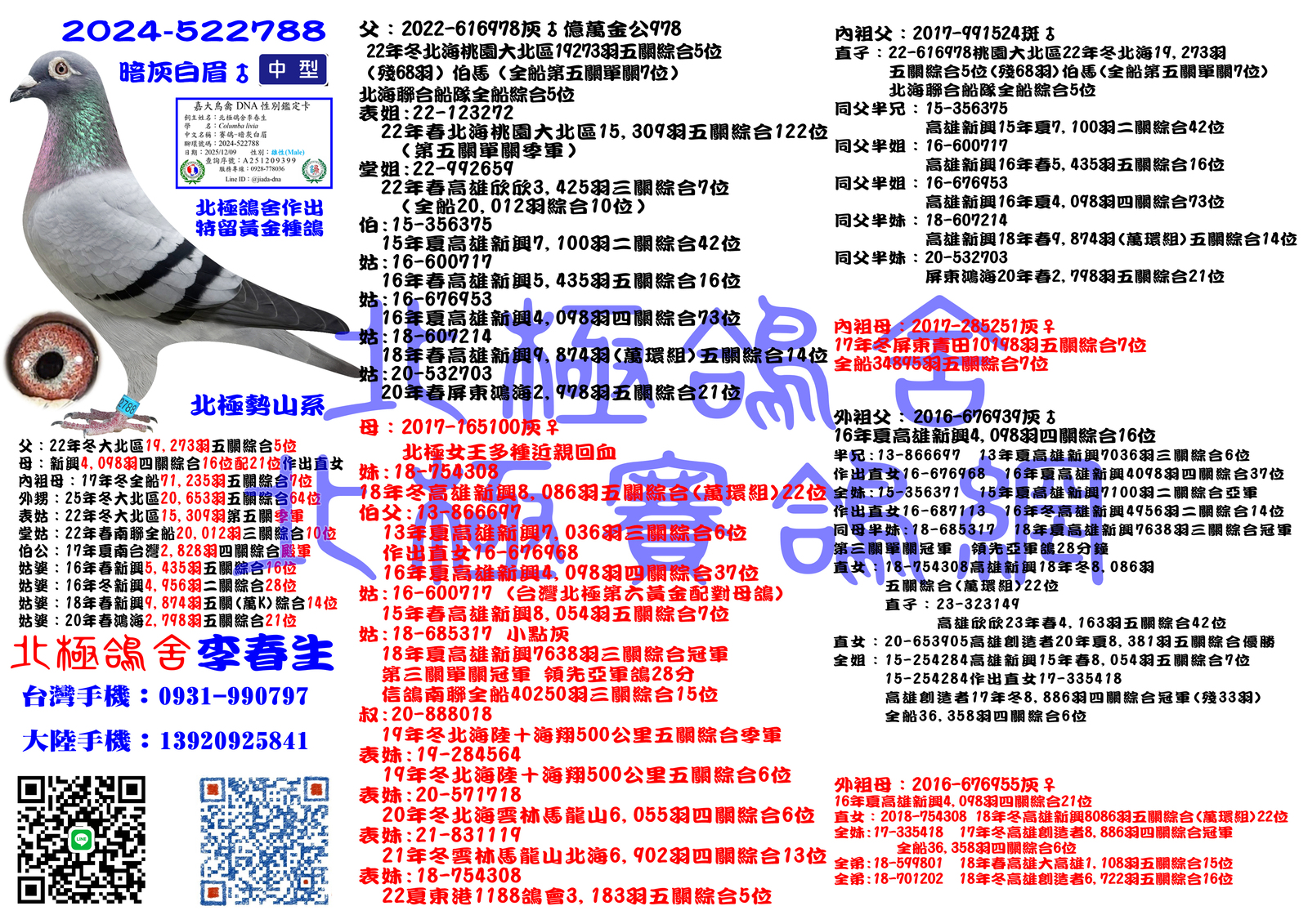 血統書水印示意圖