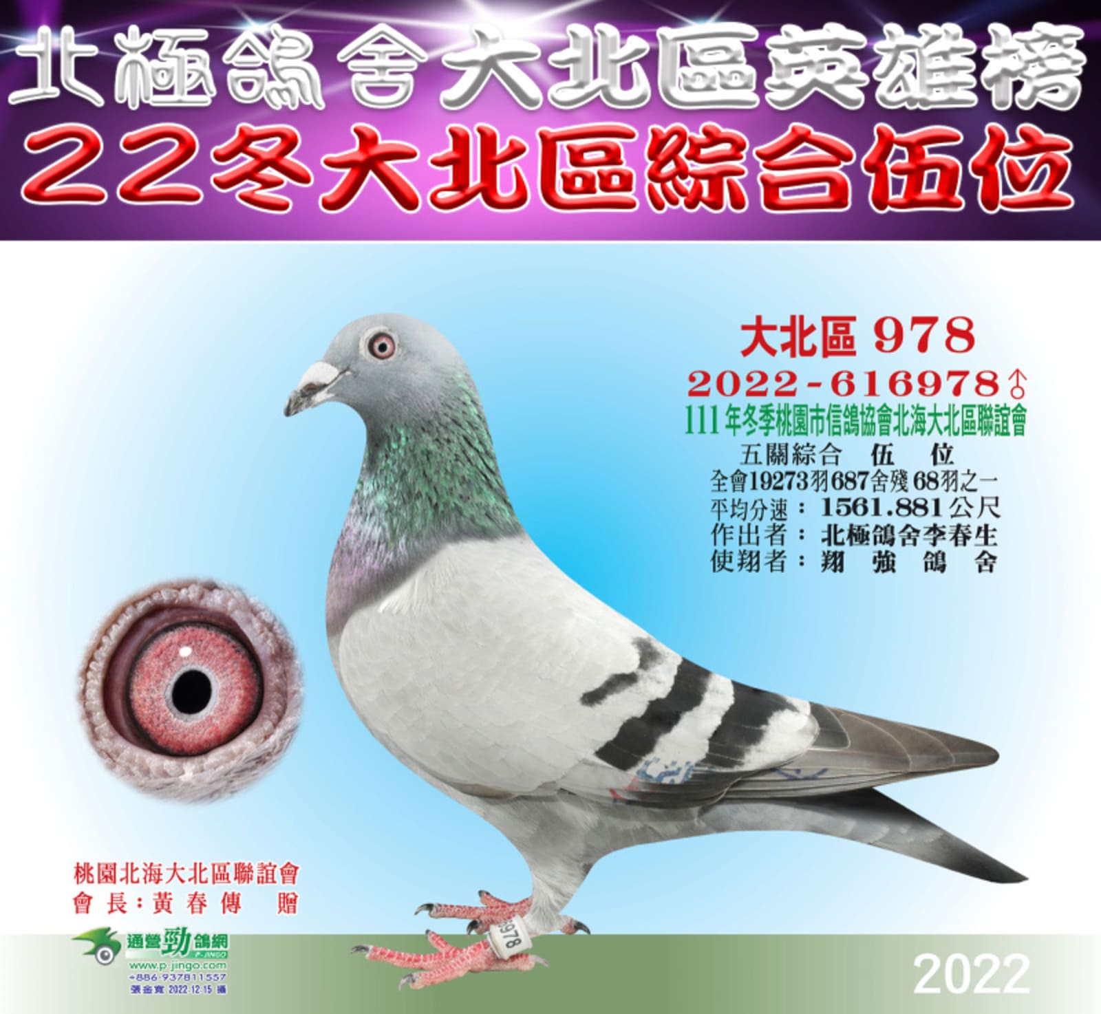 父：2022-616978灰♂億萬金公978  22年冬北海桃園大北區19273羽五關綜合5位 （殘68羽）伯馬（全船第五關單關7位）北海聯合船隊全船綜合5位