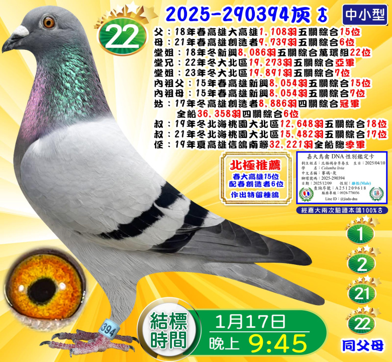 2025-290394灰♂ 2025-290394灰♂