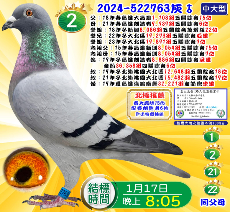 2024-522763灰♂ 2024-522763灰♂