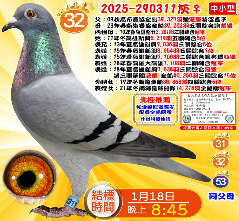 2025-290311灰♀ 2025-290311灰♀