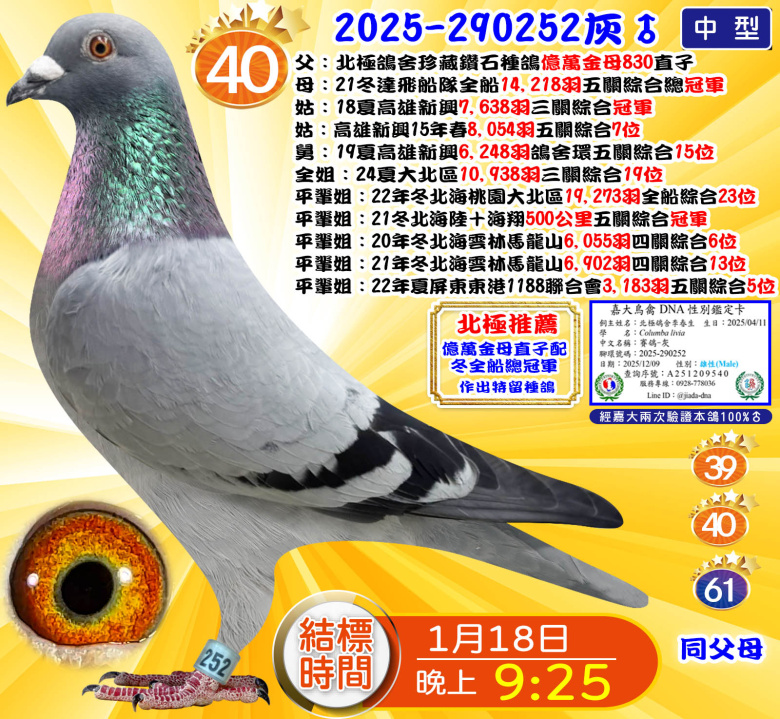 2025-290252灰♂ 2025-290252灰♂