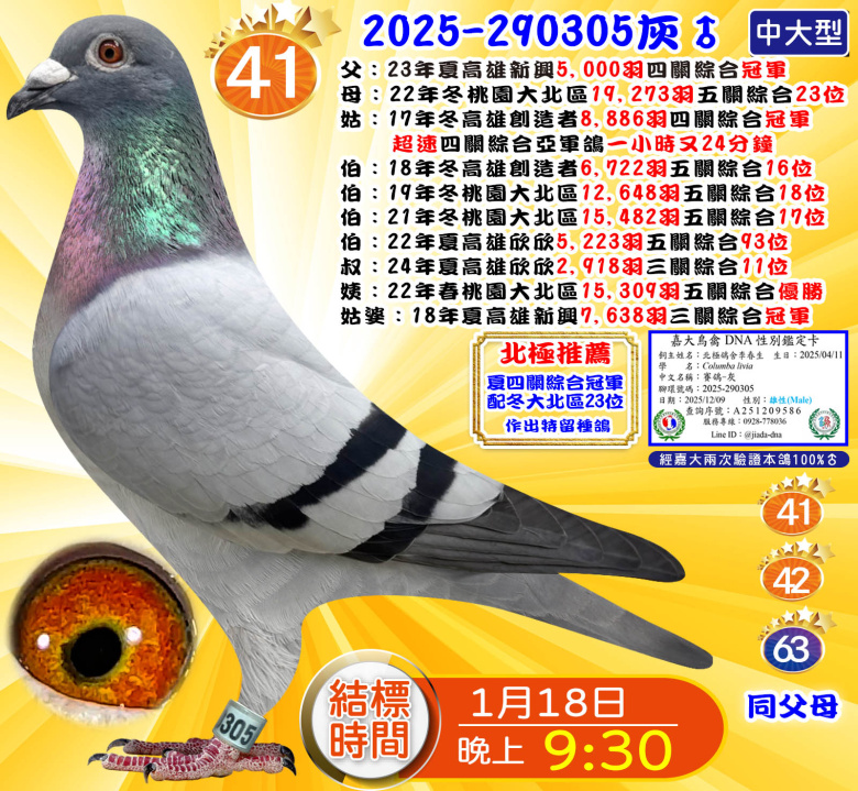 2025-290305灰♂ 2025-290305灰♂