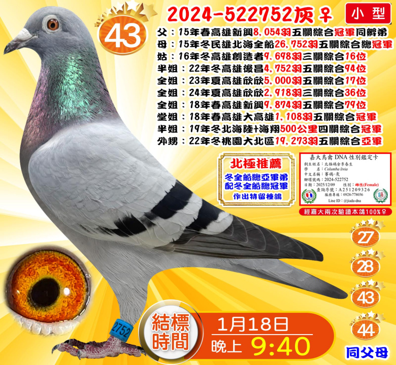 2024-522752灰♀ 2024-522752灰♀