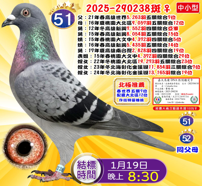 2025-290238斑♀ 2025-290238斑♀