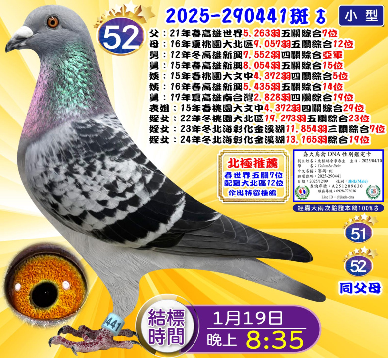 2025-290441斑♂ 2025-290441斑♂