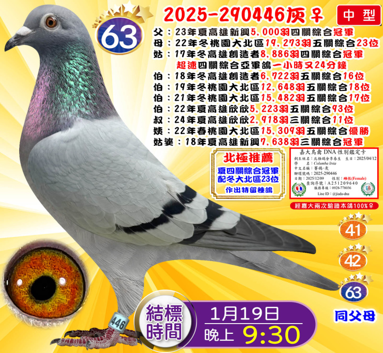 2025-290446灰♀ 2025-290446灰♀