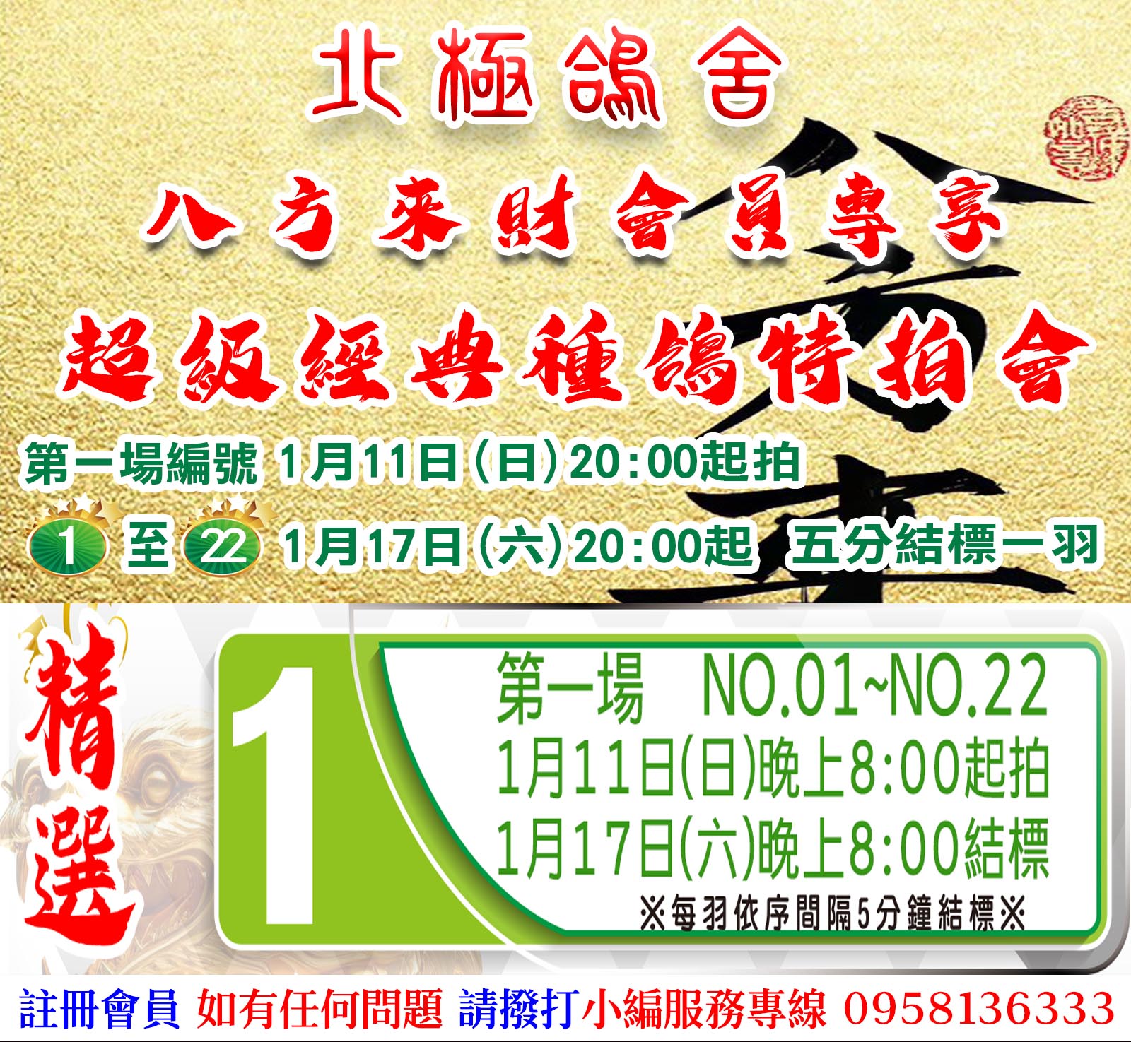 北極鴿舍【八方來財會員專享】超級經典種鴿特拍會-第一專場