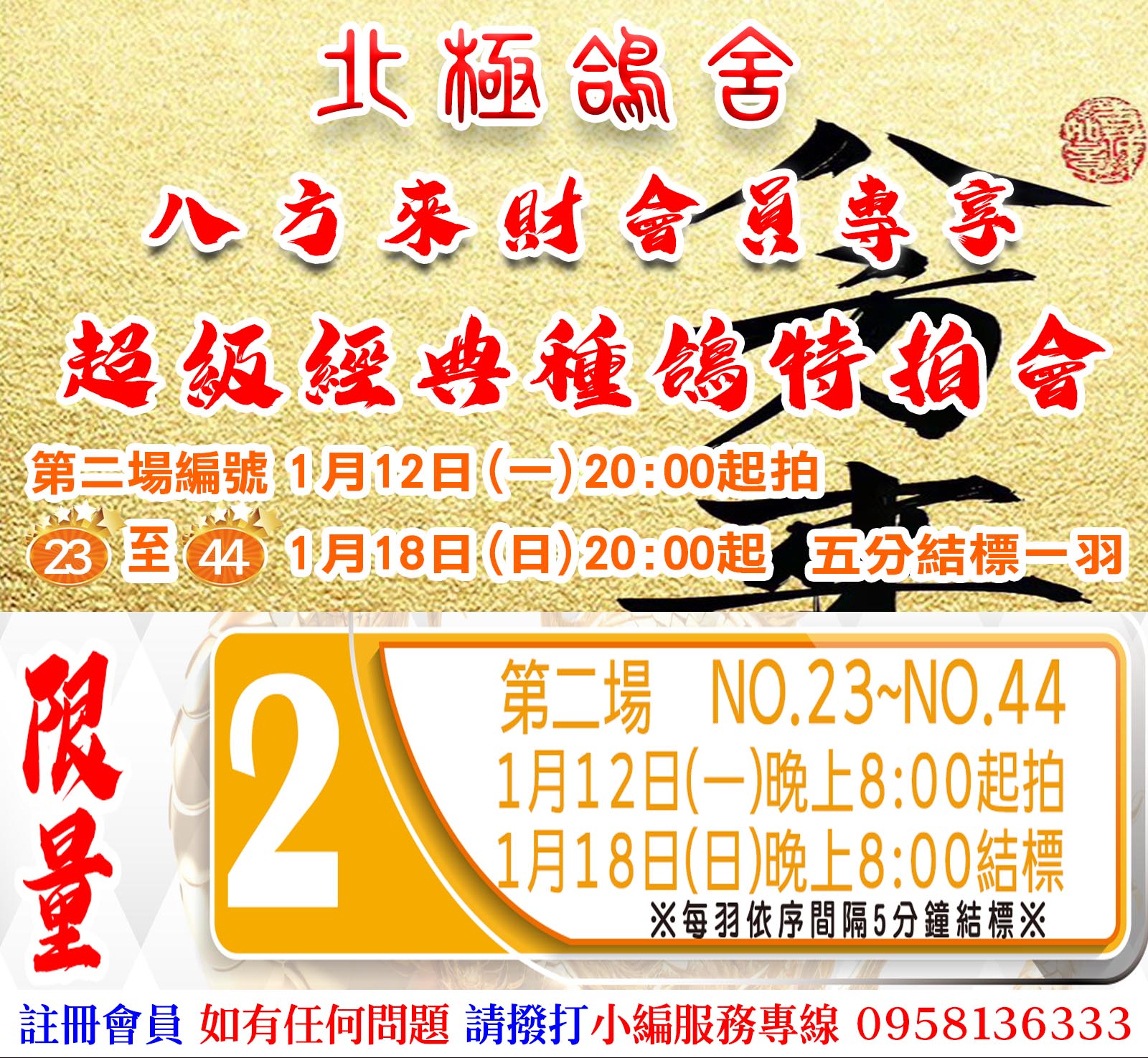 北極鴿舍【八方來財會員專享】超級經典種鴿特拍會-第二專場