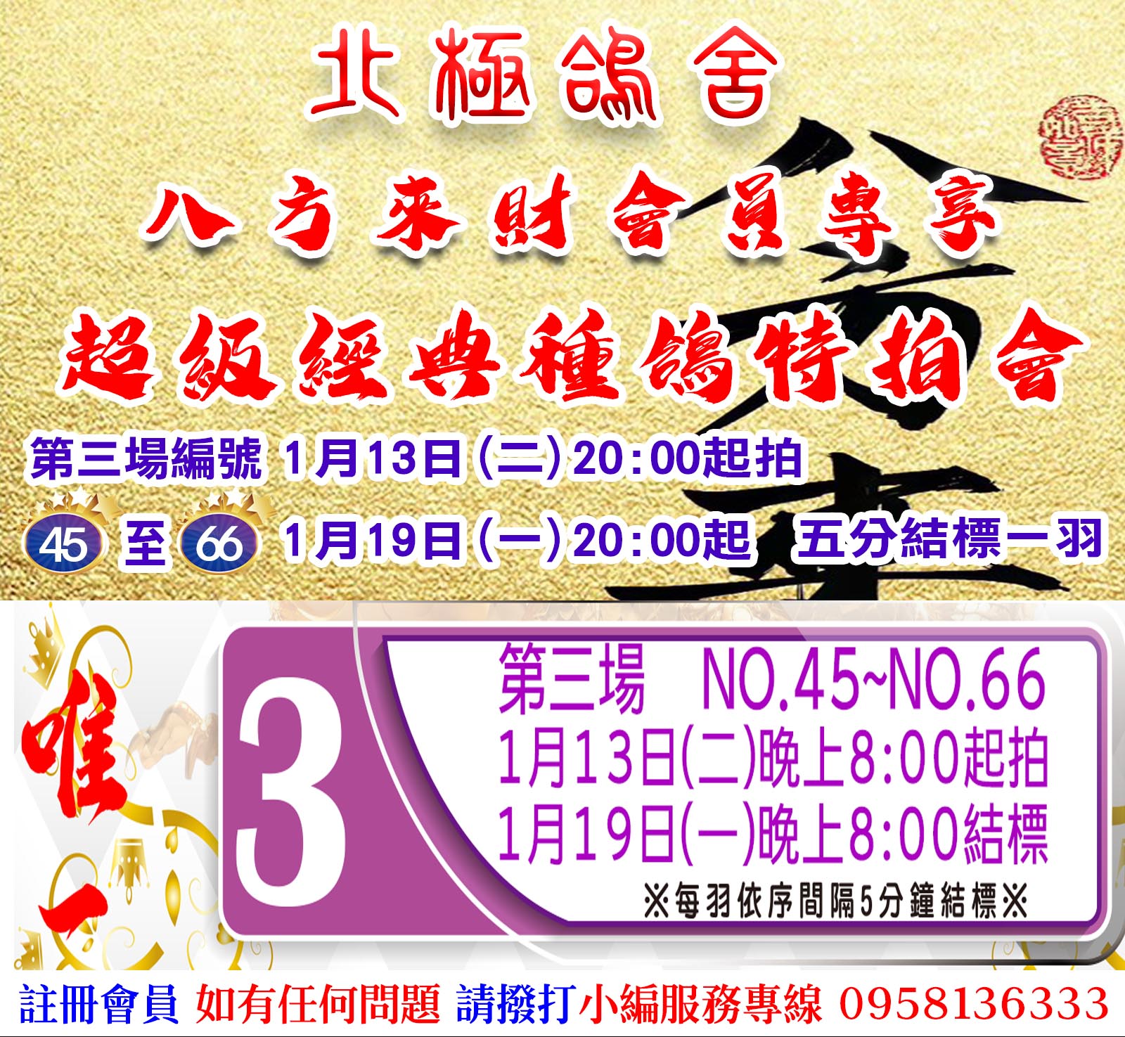 北極鴿舍【八方來財會員專享】超級經典種鴿特拍會-第三專場