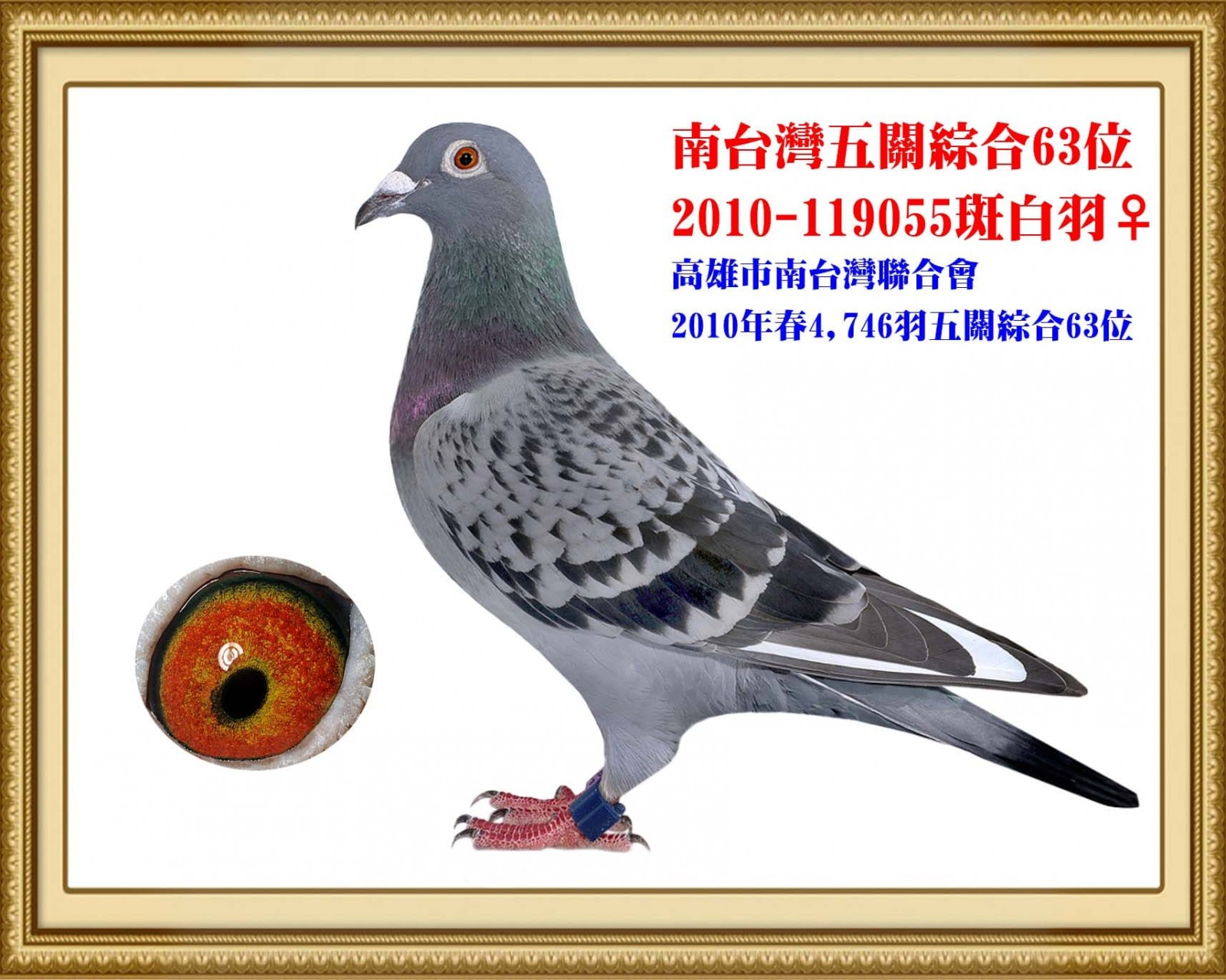 2010-119055 拷貝.jpg