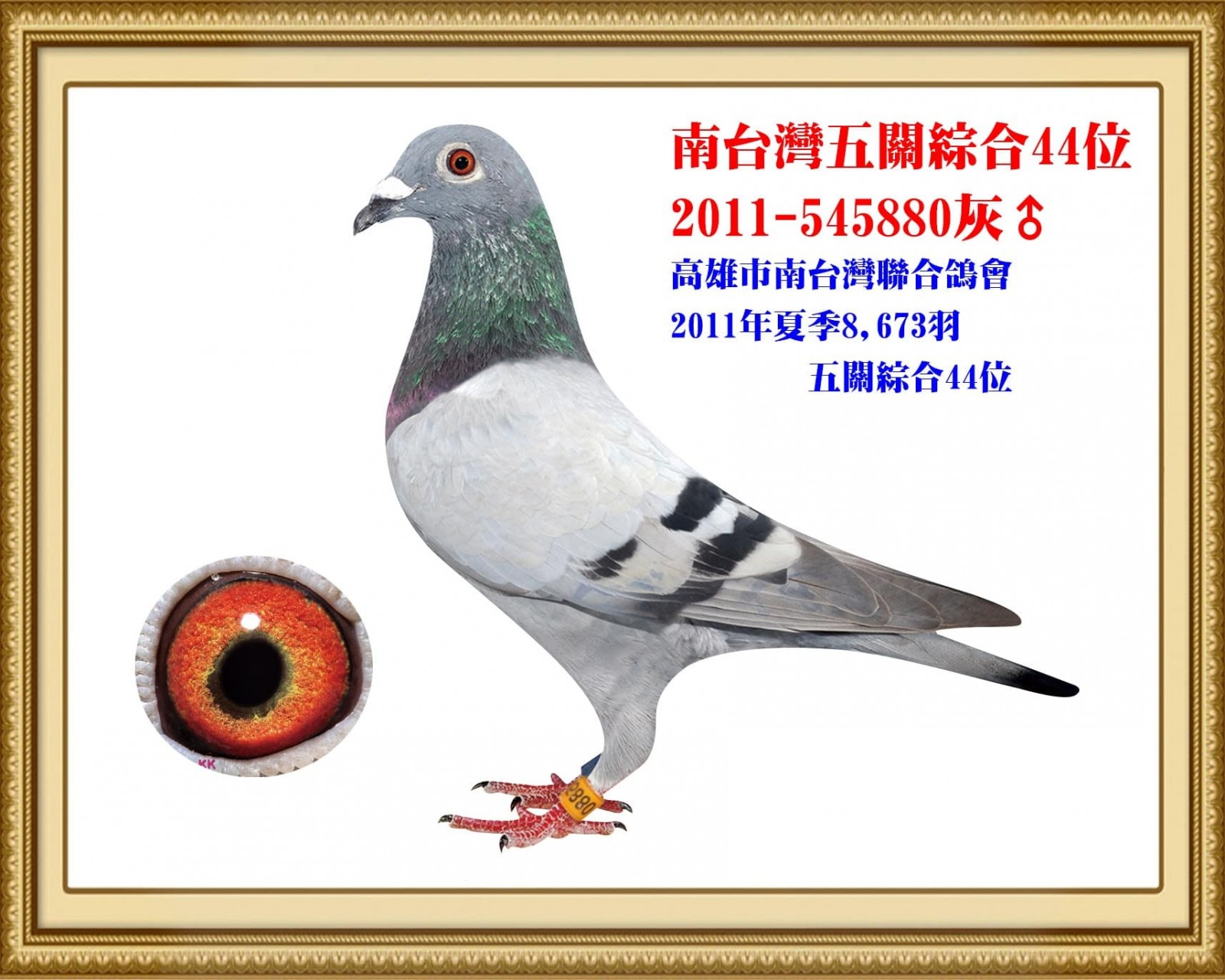 2011-545880 拷貝.jpg