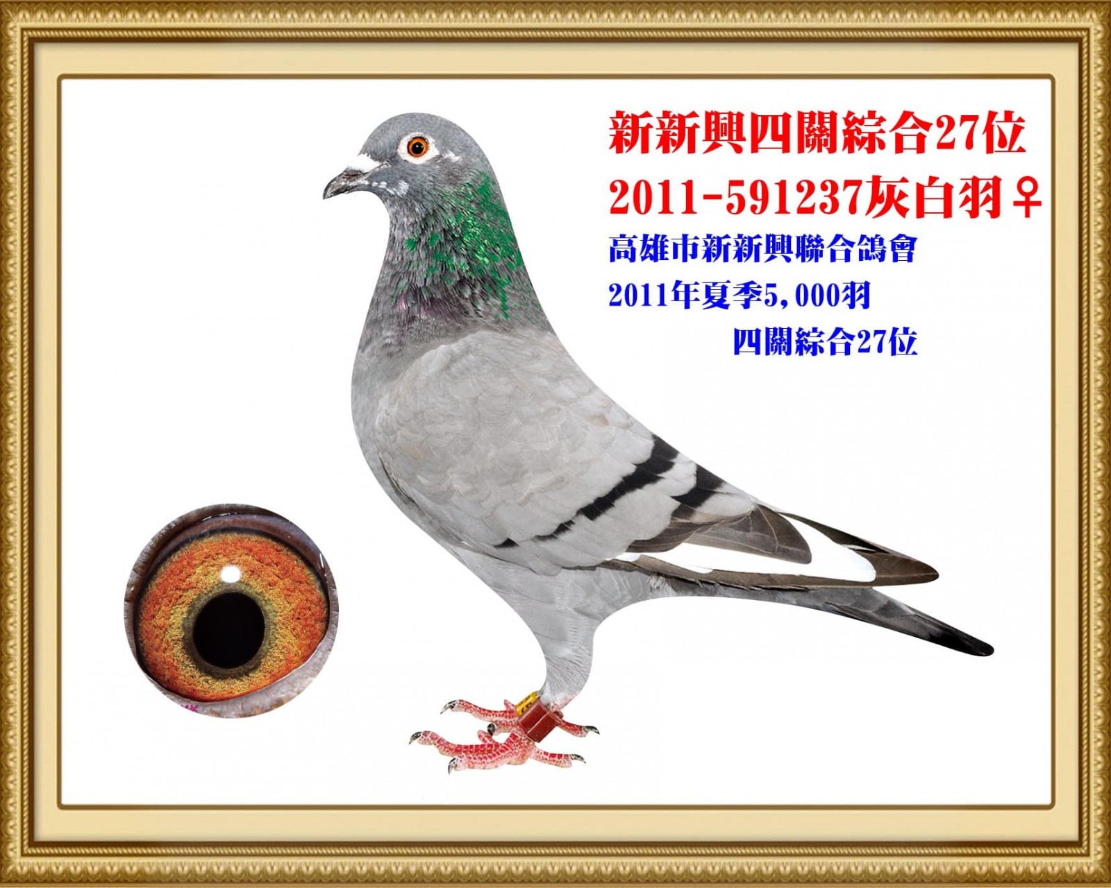 2011-591237 拷貝.jpg