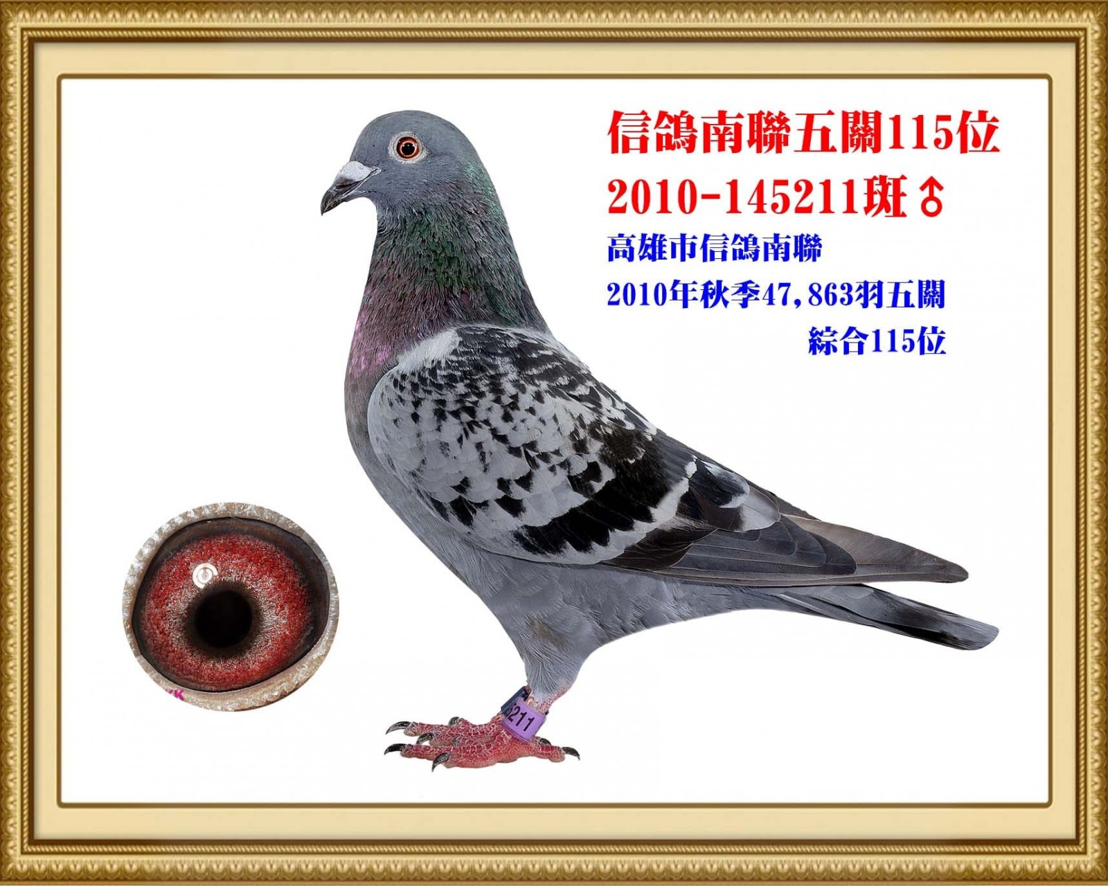 2010-145211 拷貝.jpg