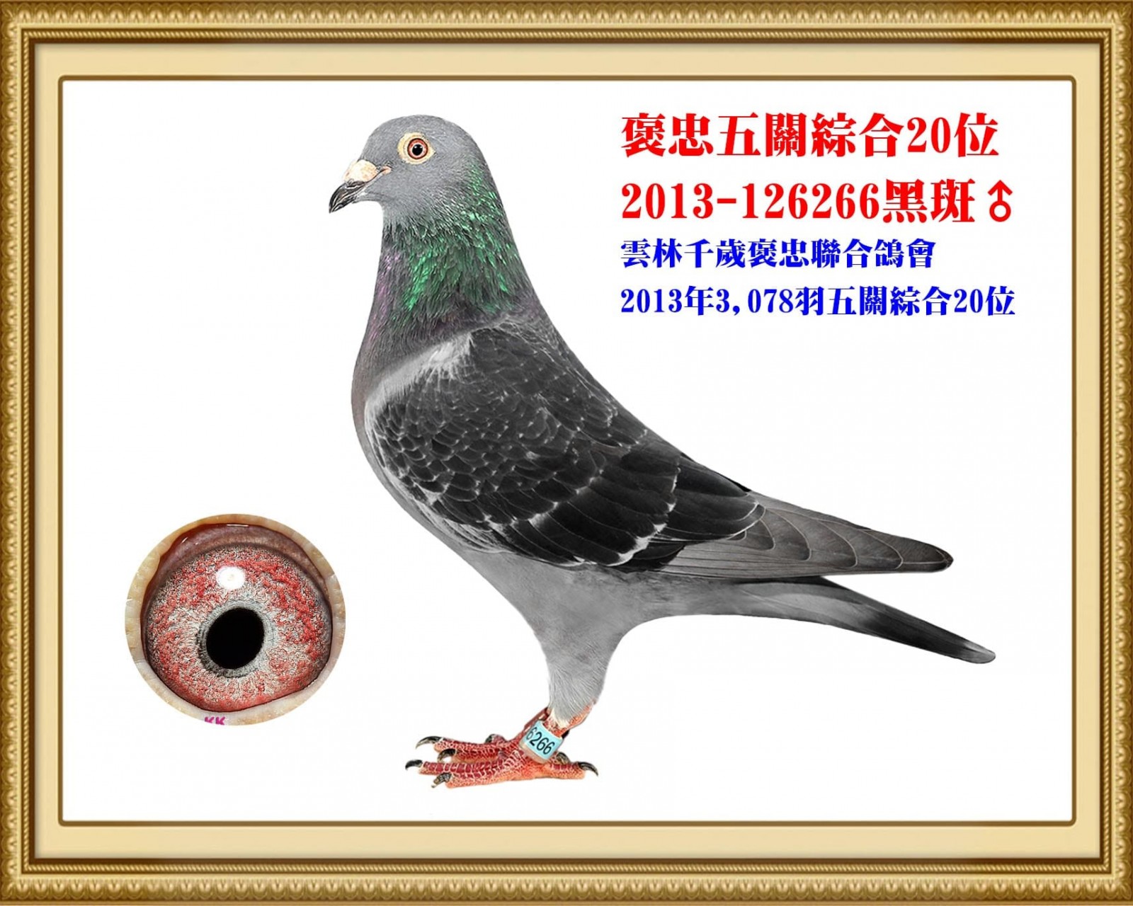 2013-126266 拷貝.jpg